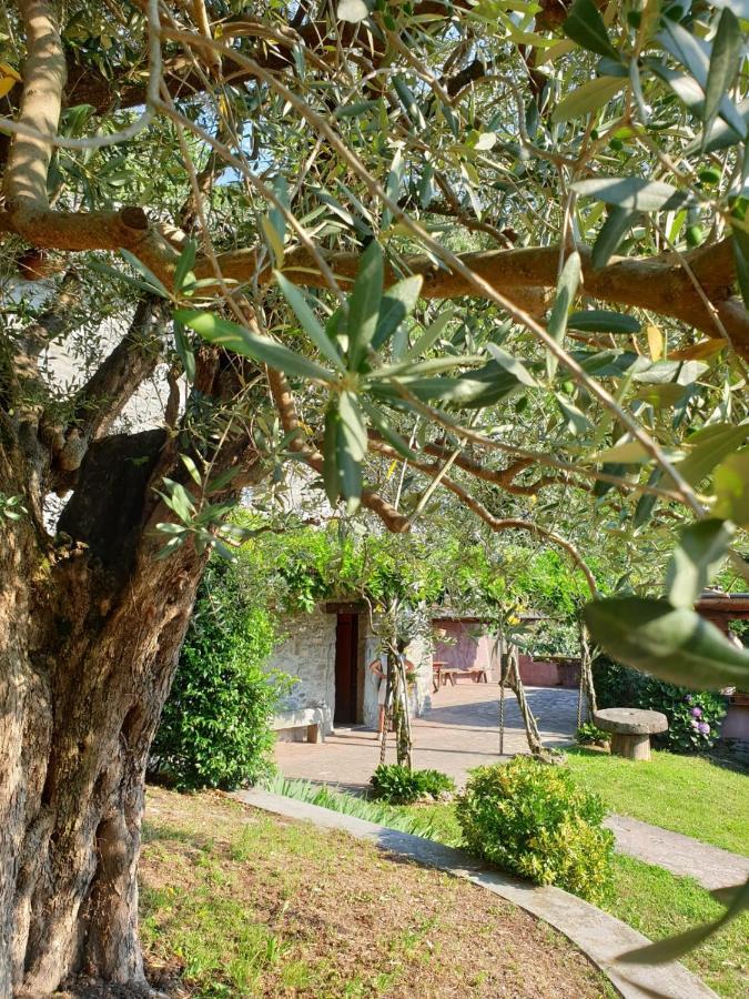 VILLA D'EPOCA le CAPÈLE Gratacasolo Esterno foto