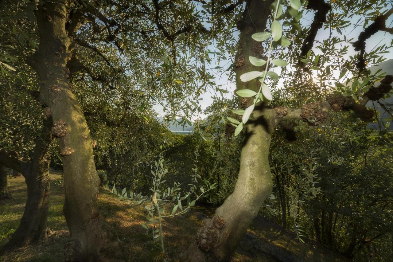 VILLA D'EPOCA le CAPÈLE Gratacasolo Esterno foto