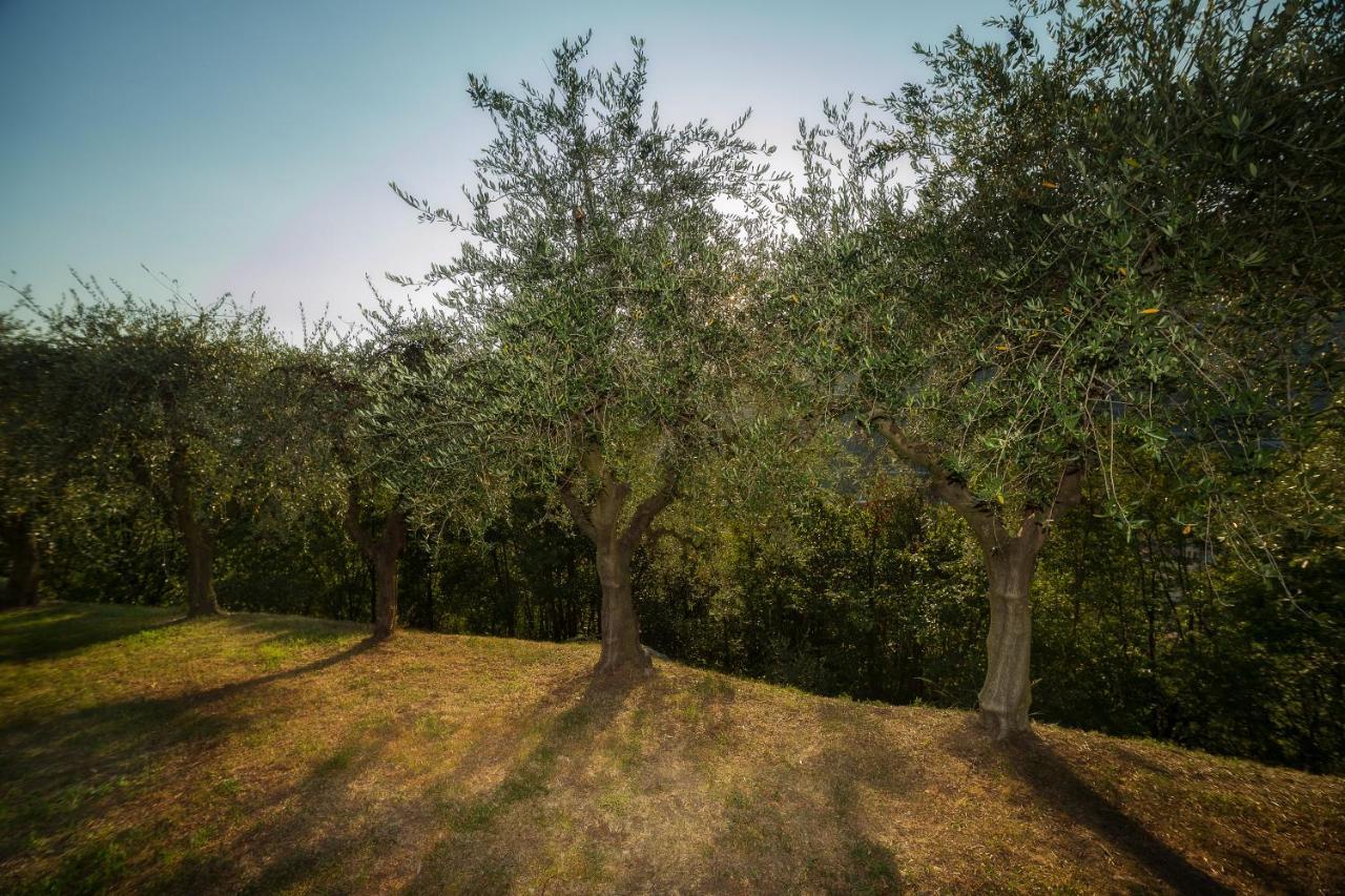 VILLA D'EPOCA le CAPÈLE Gratacasolo Esterno foto